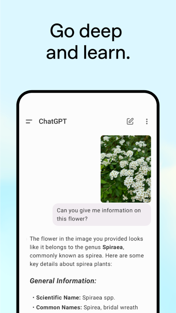 مراجعة تطبيق ChatGPT: رفيقك الذكي في عصر التكنولوجيا 4 تطبيق ChatGPT